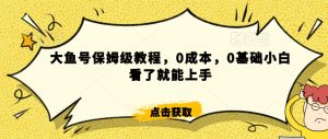 怎么样靠阿里大厂撸金，背靠大厂日入2000+，大鱼号保姆级教程，0成本，0基础小白看了就能上手【揭秘】-6688资源库