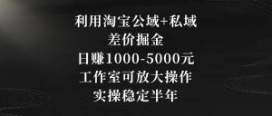 利用淘宝公域+私域差价掘金，日赚1000-5000元，工作室可放大操作，实操稳定半年【揭秘】-6688资源库
