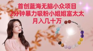 首创蓝海无脑小众项目，2分钟暴力吸粉小姐姐富太太，月入几十万【揭秘】-6688资源库