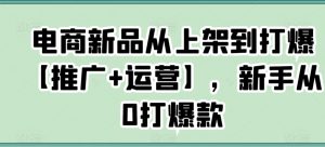 电商新品从上架到打爆【推广+运营】，新手从0打爆款-6688资源库