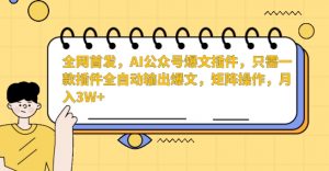 全网首发，AI公众号爆文插件，只需一款插件全自动输出爆文，矩阵操作，月入3W+【揭秘】-6688资源库