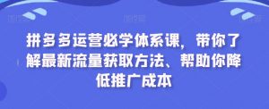 拼多多运营必学体系课，带你了解最新流量获取方法、帮助你降低推广成本-6688资源库