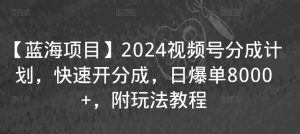 【蓝海项目】2024视频号分成计划，快速开分成，日爆单8000+，附玩法教程-6688资源库
