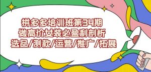 拼多多培训班第34期:做高价女装必盈利剖析选品/测款/运营/推广/拓展-6688资源库