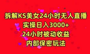 利用快手24小时无人美女直播，实操日入3000，24小时被动收益，内部保密玩法【揭秘】-6688资源库