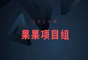 2024年果果项目组项目合集-果果最新项目-6688资源库