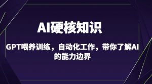 AI硬核知识-GPT喂养训练，自动化工作，带你了解AI的能力边界（10节课）-6688资源库