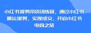 小红书混剪带货训练营，通过小红书搬运混剪，实现成交，开启小红书电商之旅-6688资源库