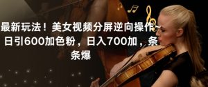 最新玩法！美女视频分屏逆向操作~日引600加色粉，日入700加，条条爆【揭秘】-6688资源库