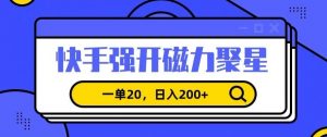 信息差赚钱项目，快手强开磁力聚星，一单20，日入200+【揭秘】-6688资源库