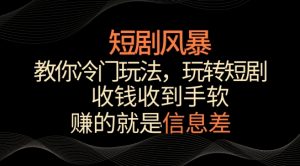 短剧风暴，教你冷门玩法，玩转短剧，收钱收到手软【揭秘】-6688资源库