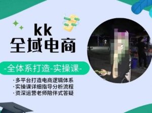 KK全域电商，全体系打造实操课，多平台打造电商逻辑体系-6688资源库