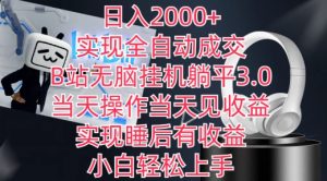 日入2000+，实现全自动成交，B站无脑挂机躺平3.0，当天操作当天见收益，实现睡后有收益【揭秘】-6688资源库