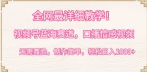 全网最详细教学,视频号蓝海赛道,口播情感视频,无需露脸,制作简单,轻松实现日入1000+【揭秘】-6688资源库