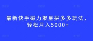最新快手磁力聚星拼多多玩法，轻松月入5000+【揭秘】-6688资源库