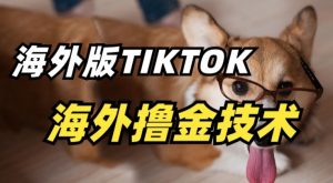 抖音海外版tiktok撸金技术,这个风口行业,赚钱真的不难【揭秘】-6688资源库