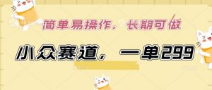 小众赛道，一单299.简单易操作，长期可做【揭秘】-6688资源库