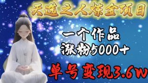 天选之人炼金项目，一个作品涨粉5000+，单号变现3.6w【揭秘】-6688资源库