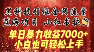 蓝海项目!黑科技引爆全网流量小红书拉新,单日暴力收益7000+,小白也能轻松上手【揭秘】-6688资源库