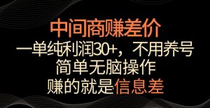 中间商赚差价,一单纯利润30+,简单无脑操作,赚的就是信息差,轻轻松松日入1000+【揭秘】-6688资源库