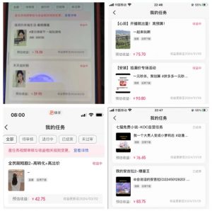 2024年3月最新，快手磁力聚星全流程实操教学，8台手机日均收益稳定100~200元【揭秘】-6688资源库