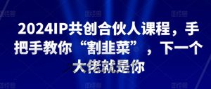2024IP共创合伙人课程，手把手教你“割韭菜”，下一个大佬就是你-6688资源库