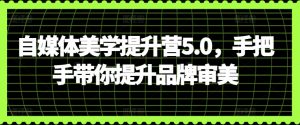 自媒体美学提升营5.0，手把手带你提升品牌审美-6688资源库