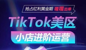 TikTok Shop美区小店进阶运营，抢占红利黄金期 嘎嘎出单-6688资源库