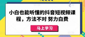 小白也能听懂的抖音短视频课程，方法不对 努力白费-6688资源库