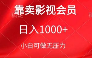 靠卖影视会员，日入1000+，落地保姆级教程，新手可学【揭秘】-6688资源库