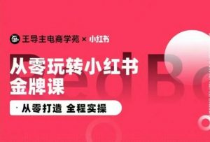 王导主·小红书电商运营实操课，​从零打造  全程实操-6688资源库