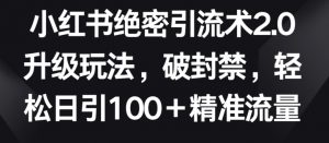 小红书绝密引流术2.0升级玩法，破封禁，轻松日引100+精准流量【揭秘】-6688资源库