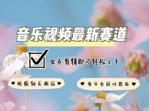 音乐视频赛道最新玩法，纯原创不违规，可所有平台同时发布，会点剪辑即可轻松拿捏【揭秘】-6688资源库