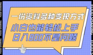 一份资料多种变现方式，小白也能轻松上手，日入800不是问题【揭秘】-6688资源库