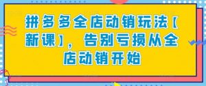 拼多多全店动销玩法【新课】，告别亏损从全店动销开始-6688资源库