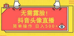 无需露脸，Ai头像直播项目，简单操作日入500+【揭秘】-6688资源库