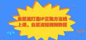 自然流打造IP正确方法线上课，自然流短视频教程-6688资源库