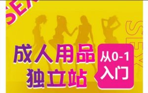 成人用品独立站从0-1入门，成品独立站运营全流程教学，七大好卖成品独立站推荐-6688资源库