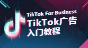 TikTok广告入门教程，从0到1掌握TikTok投放的全流程-6688资源库