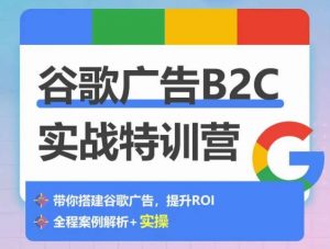 谷歌广告B2C实战特训营，500+谷歌账户总结经验，实战演示如何从0-1搭建广告账户-6688资源库