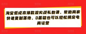 淘宝低成本爆款流实战私教课，帮助商家快速复制落地，0基础也可以轻松搞定电商运营-6688资源库