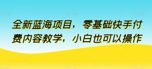 全新蓝海项目，零基础快手付费内容教学，小白也可以操作【揭秘】-6688资源库