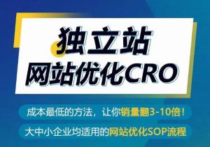独立站网站优化CRO，成本最低的方法，让你销量翻3-10倍-6688资源库