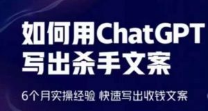 如何用ChatGPT写出杀手文案，6个月实操经验，快速写出收钱文案-6688资源库