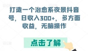 打造一个治愈系夜景抖音号，日收入300+，多方面收益，无脑操作【揭秘】-6688资源库