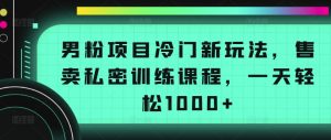 男粉项目冷门新玩法，售卖私密训练课程，一天轻松1000+【揭秘】-6688资源库