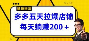 多多五天拉爆店铺，每天躺赚200+【揭秘】-6688资源库