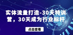 实体流量打造-30天特训营,30天成为行业标杆-6688资源库