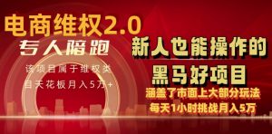 电商维权 4.0 如何做到月入 5 万+每天 1 小时新人也能快速上手【仅揭秘】-6688资源库