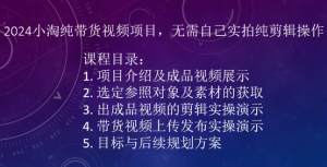 2024小淘纯带货视频项目，无需自己实拍纯剪辑操作-6688资源库